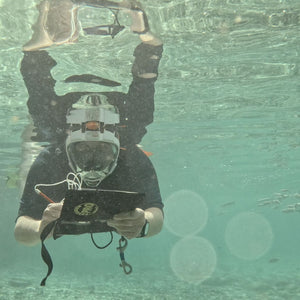 En plein aqua - Nature journaling in en onder water