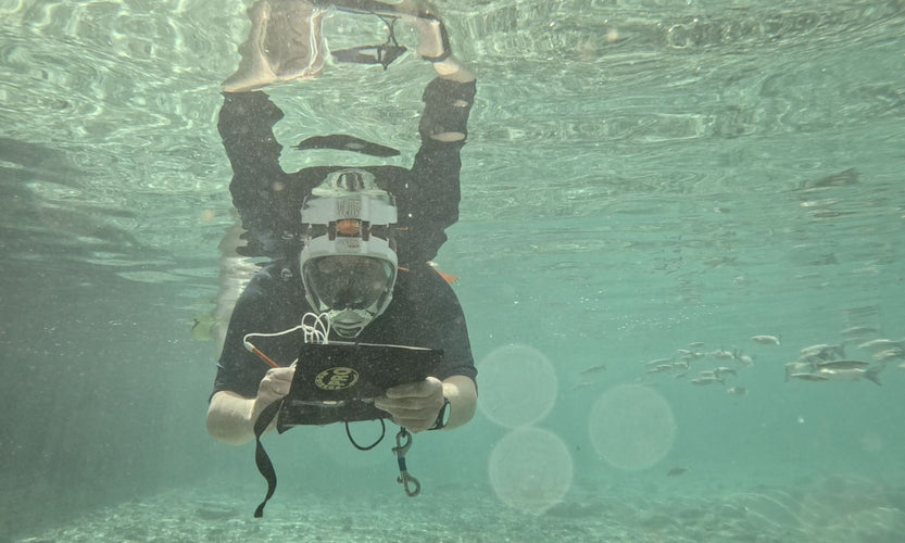 En plein aqua - Nature journaling in en onder water