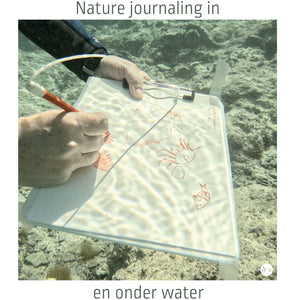 En plein aqua - Nature journaling in en onder water