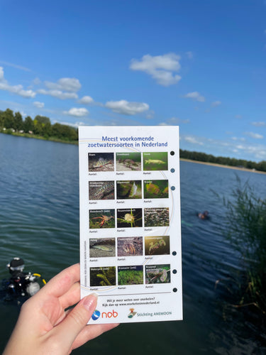 Determinatiekaart zoet- en zoutwatersoorten
