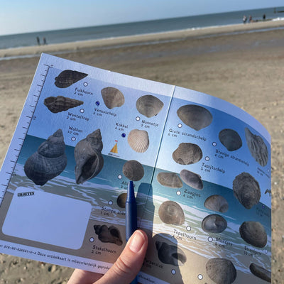 Ontdekkaart Strand en Zee