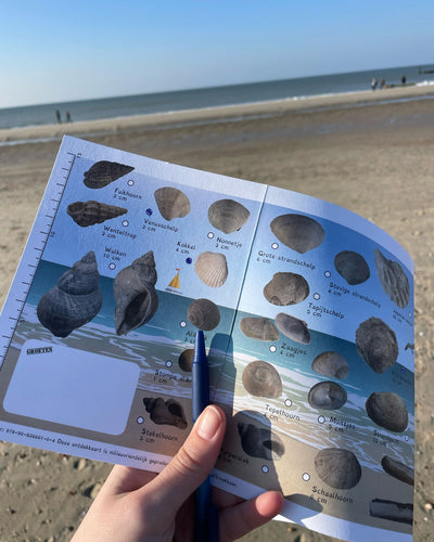 Ontdekkaart Strand en Zee