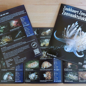 Zoekkaart Zeeuwse Zeenaaktslakken 2025