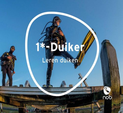 Combinatie cursusboeken 1*, 2* en 3* duiker (bundel)