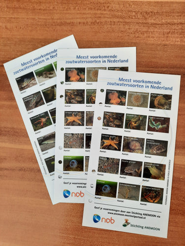 Determinatiekaart zoet- en zoutwatersoorten