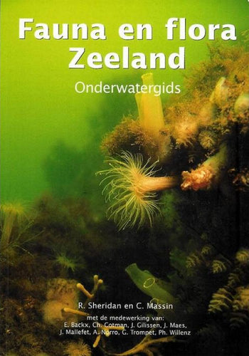 Fauna en flora in Zeeland