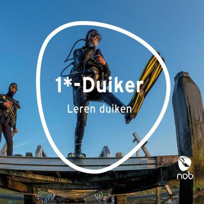 Cursusboek 1*-duiker