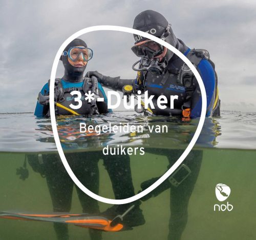 Cursusboek 3*-duiker